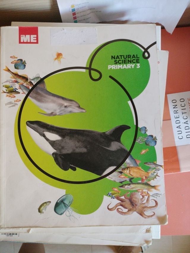 Libros de texto de 4° de primaria