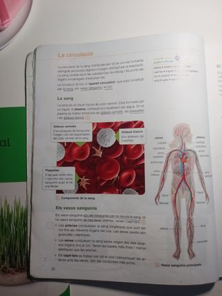 Coneixement del medi natural 5 primària