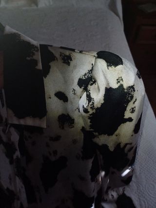 Vestido animal print