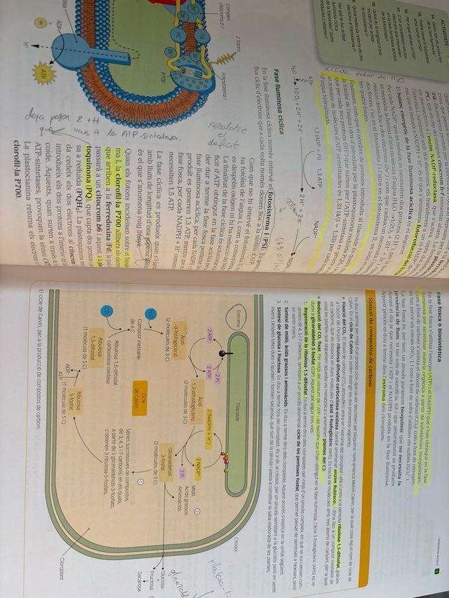 Biologia 2 Bachillerato