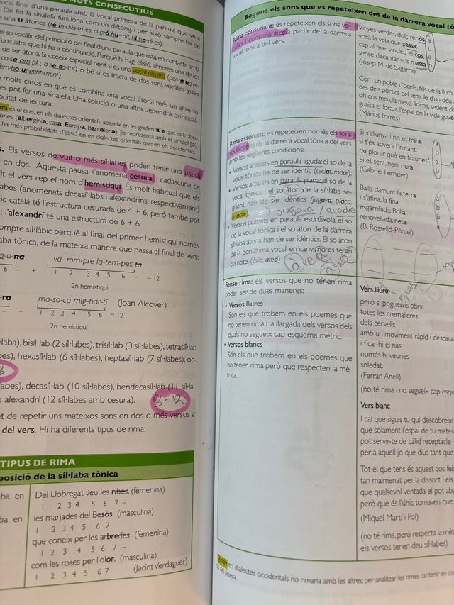 Llengua catalana i Literatura 1 Bach