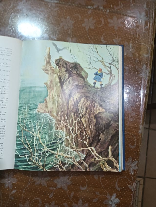 I viaggi di Gulliver libro