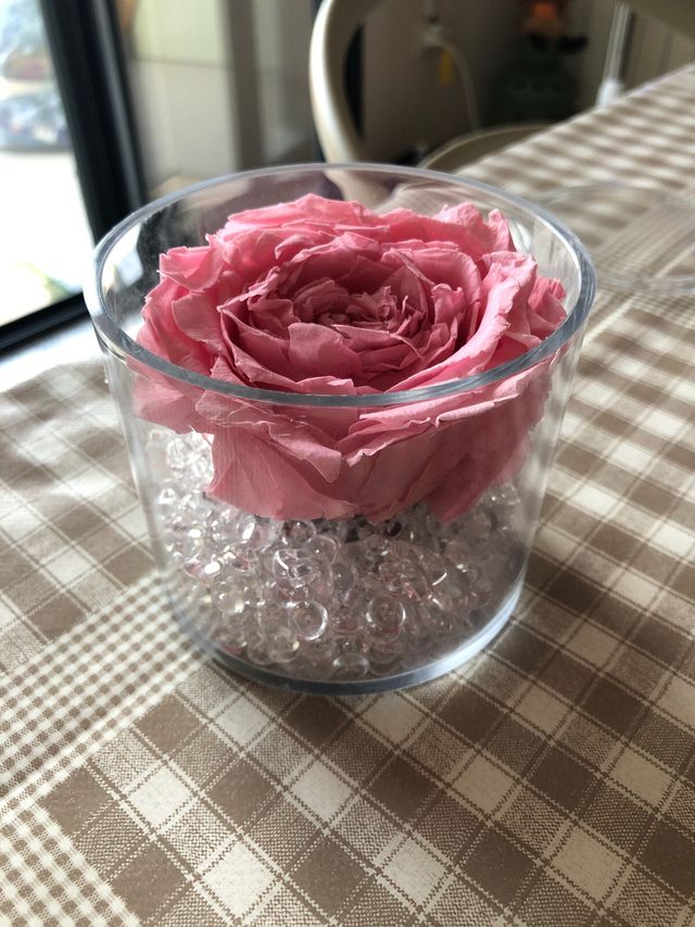 Oggettistica per casa