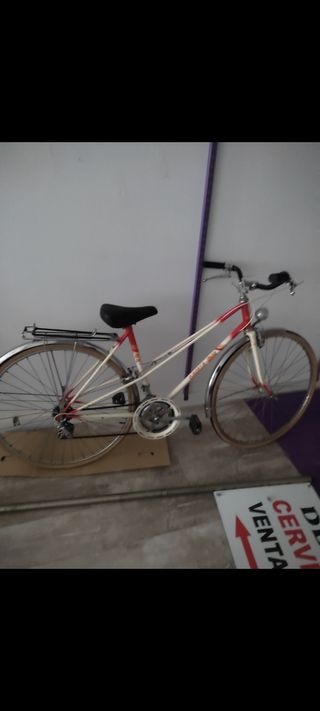 Bicicleta gacela BH de paseo