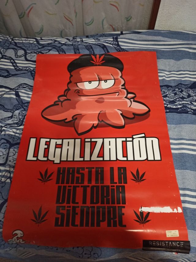 Poster los cogollitos