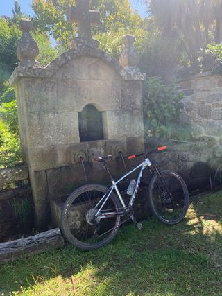 Bicicleta Scott scale 965