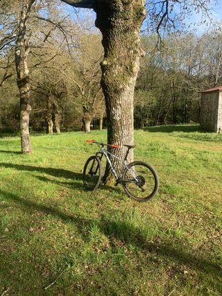 Bicicleta Scott scale 965