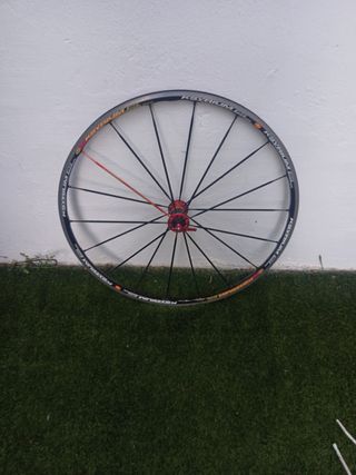 Rueda mavic