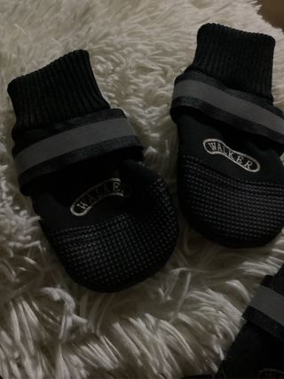 4 botas protectoras para patas de perro
