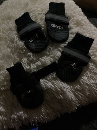 4 botas protectoras para patas de perro