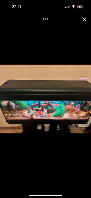 Acquario come nuovo