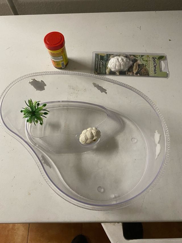 Pecera para tortuga