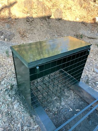 Jaula zorros