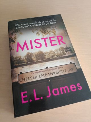 Novela Mister