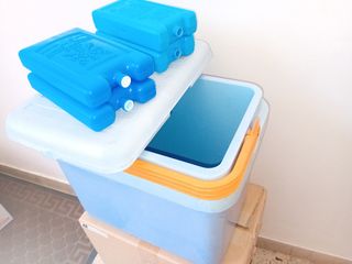 Frigo portatile 