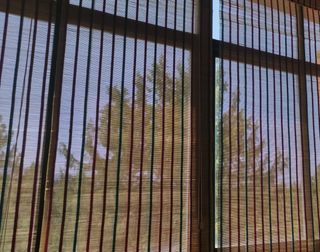 1  ESTOR PERSIANA DE BAMBÚ NUEVA