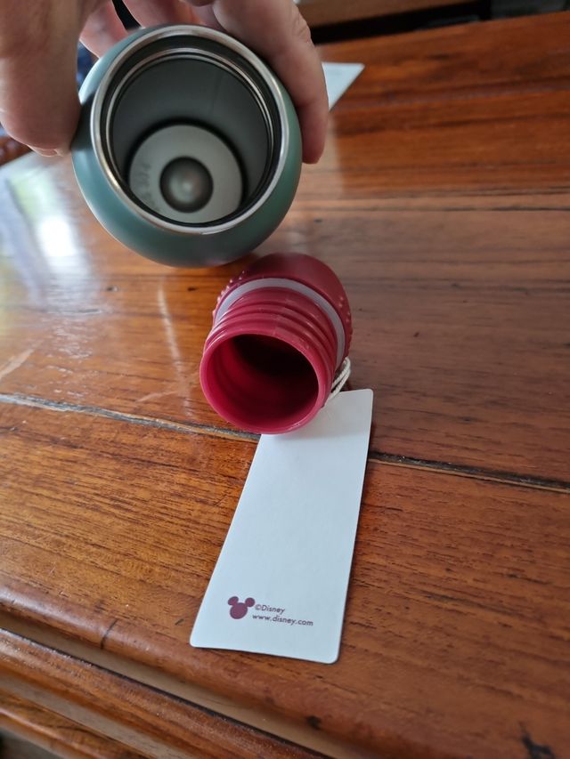 Botella térmica. Dibujo M. Mouse.