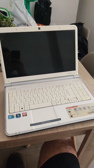Ordenador portátil
