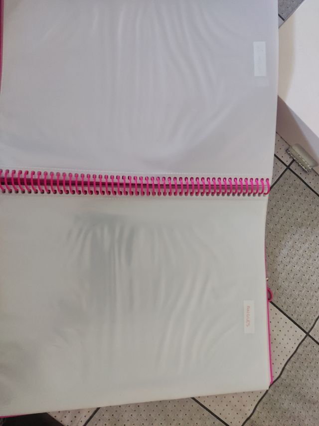 Carpeta con anillas con 50 fundas