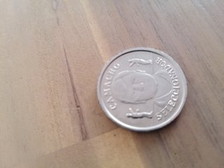 Camacho medalla 2000