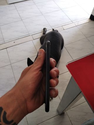 iPhone se 2020 64 gb