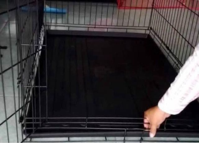 Jaula exposición canina