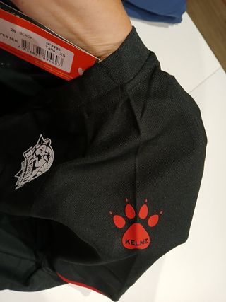 Conjunto del Baskonia