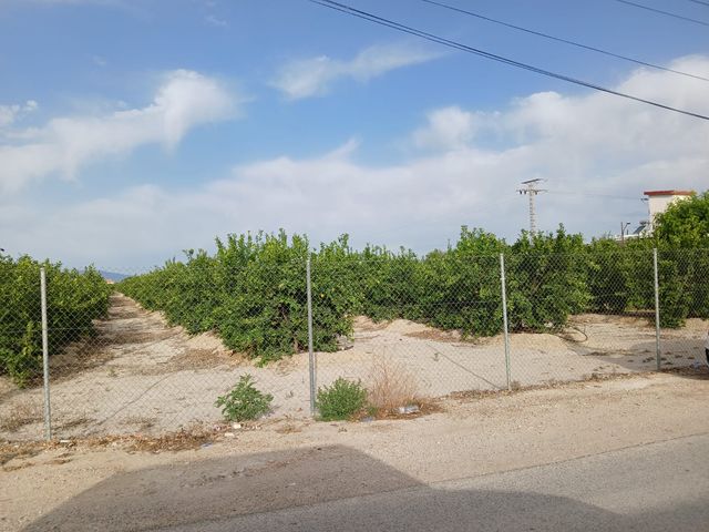 Magnifico y extenso terreno