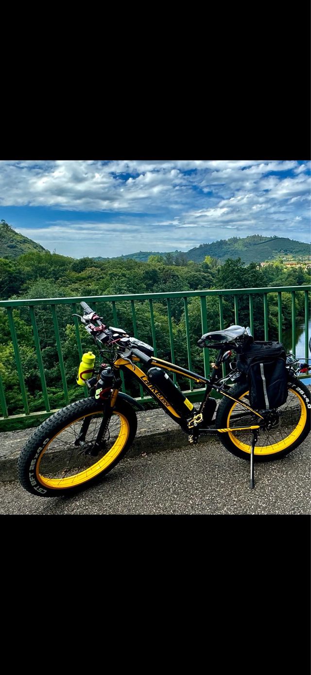 Bicicleta eléctrica Landeleski FX4000.