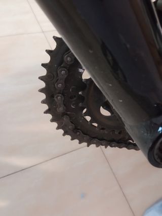 Orbea Sport MTB Cross Country