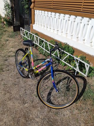 Bici montaña antigua años 80