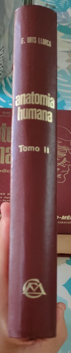 ANATOMÍA HUMANA. 4ª EDICIÓN. TOMO II