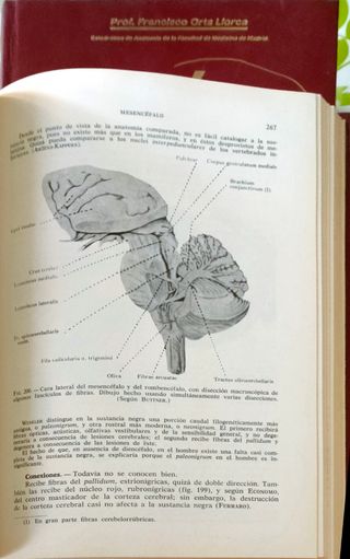 ANATOMÍA HUMANA. 4ª EDICIÓN. TOMO II