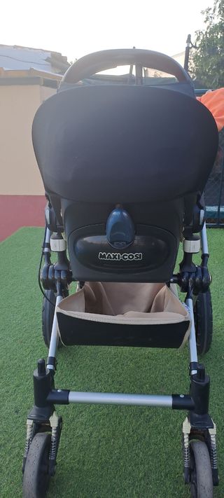 Bugaboo camaleón