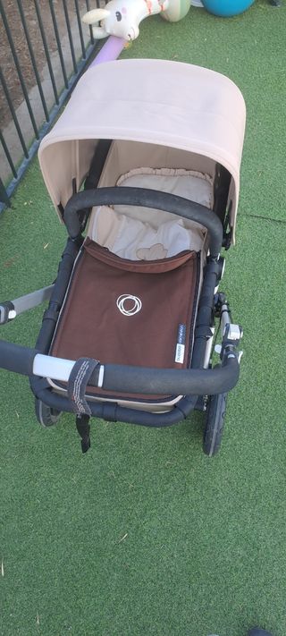 Bugaboo camaleón