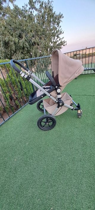 Bugaboo camaleón
