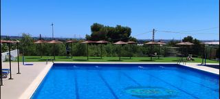 Sombrillas de carri verzo mimbre