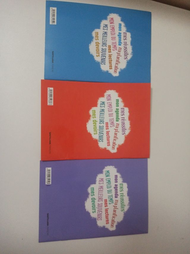 Libro pequeño Frances club parachute