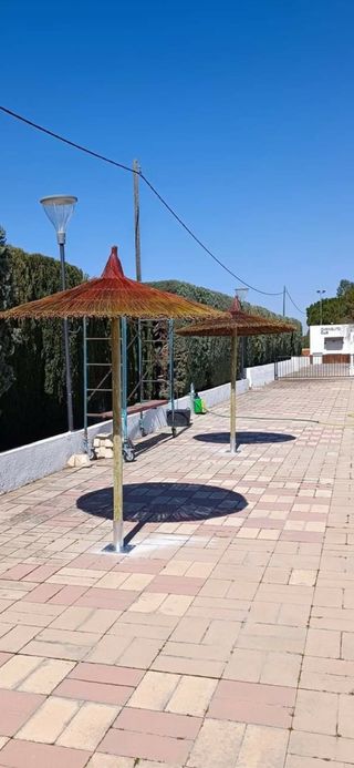 Sombrillas de carri verzo mimbre