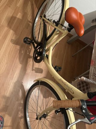 Bicicleta vintage 
