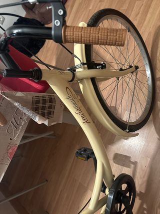 Bicicleta vintage 