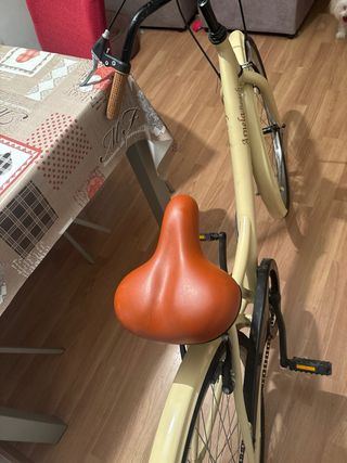 Bicicleta vintage 