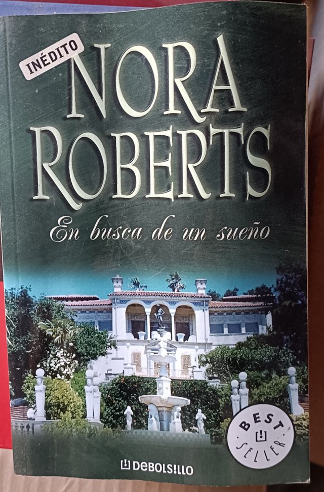 Libro En busca de un sueño 