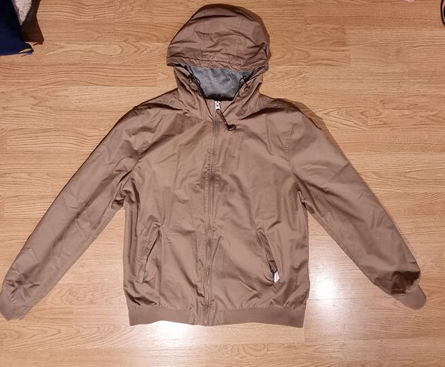 SPRINGFIELD Chaqueta Bomber Hombre