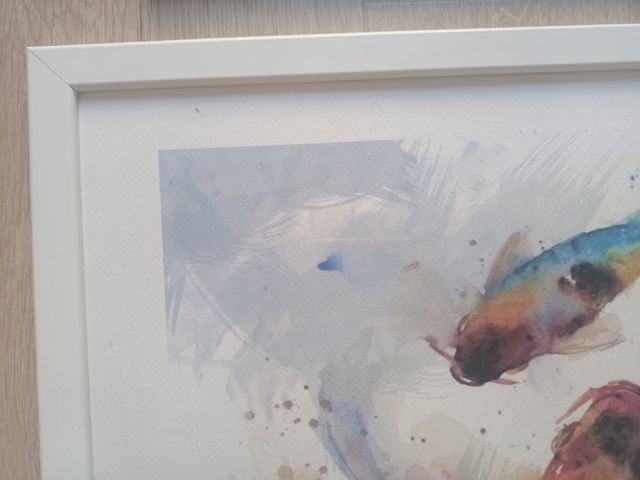 Lámina acuarela peces 40x50cm 