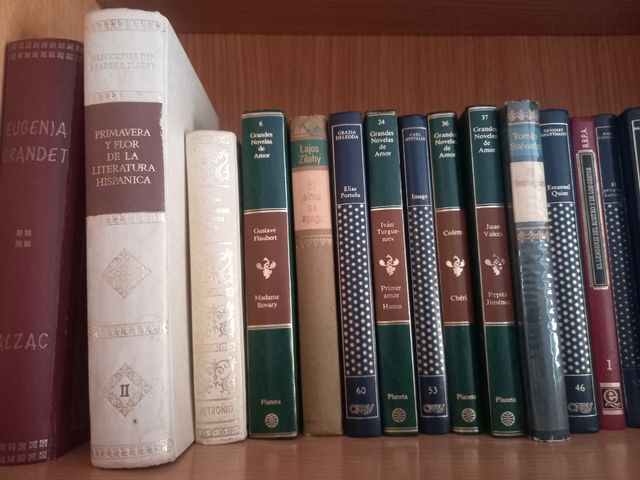 Colección libros clásicos con tapas dura