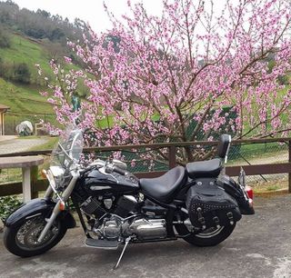 YAMAHA DRAG STAR 1100