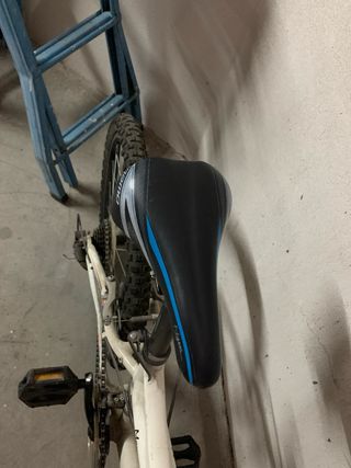 Bicicleta niño/a Rod24