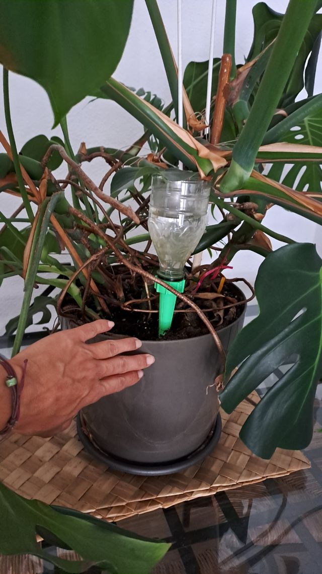 Vestido pedrería verde agua - El Corte Inglés