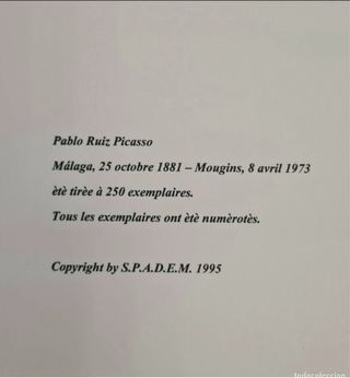 Pablo Picasso, Litografía, Portrais